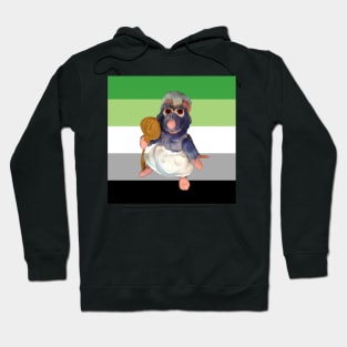 ratatouille aromantic rights Hoodie